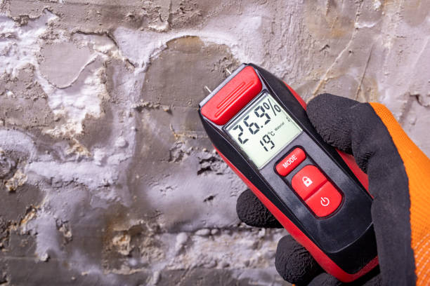Best Mold Remediation for Specific Building Types in Venetian Vlage, IL