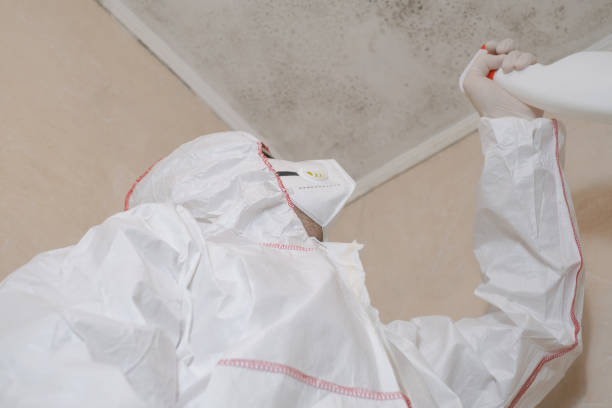 Best Health and Safety Mold Remediation in Venetian Vlage, IL