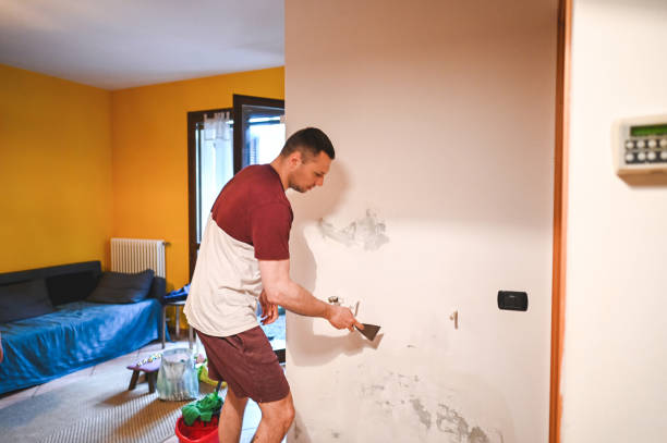 Best Basement Mold Remediation in Venetian Vlage, IL